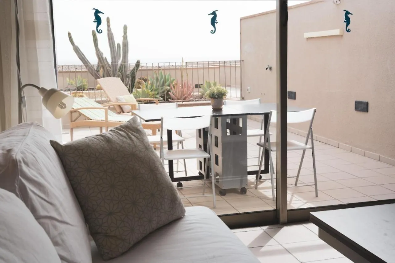 Casa Medano Apartment, In Front Of The Beach El Medano  Apartment El Medano (Tenerife)